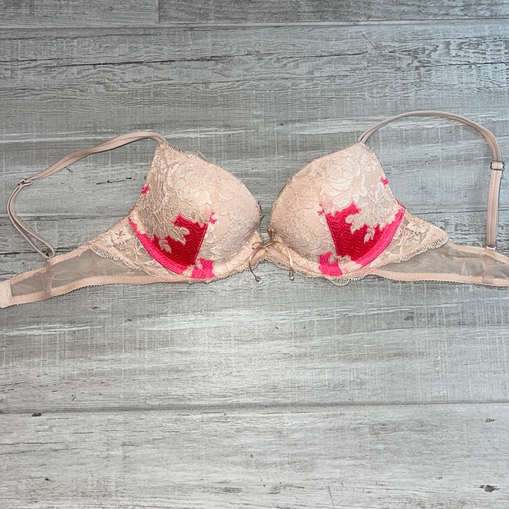 Beautiful Lace soft pink and Fuchsia Push Up Bra